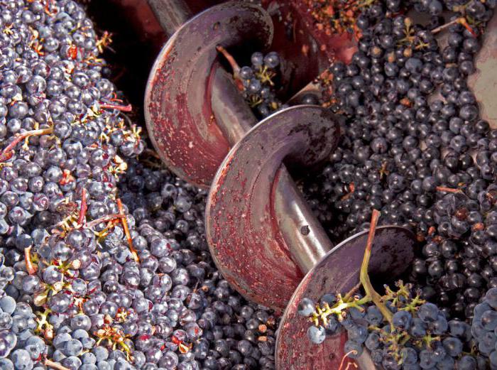 Процесс переработки винограда и плодов