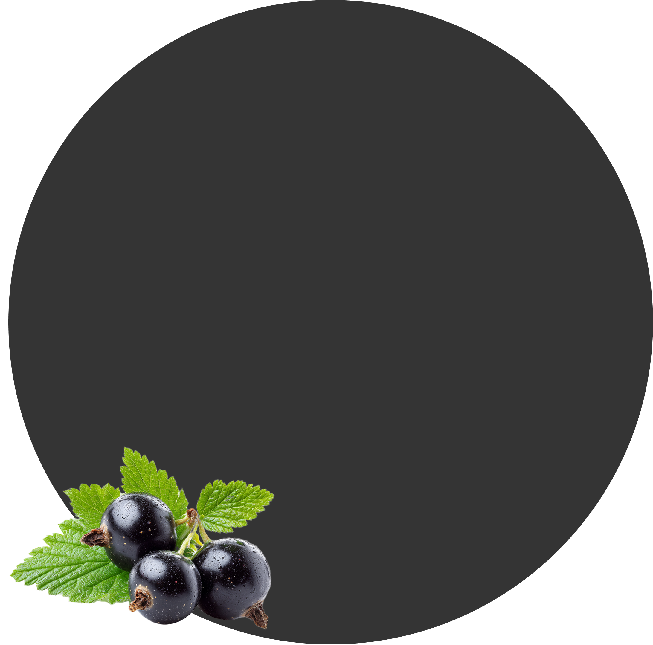 ЧЕРНАЯ СМОРОДИНА