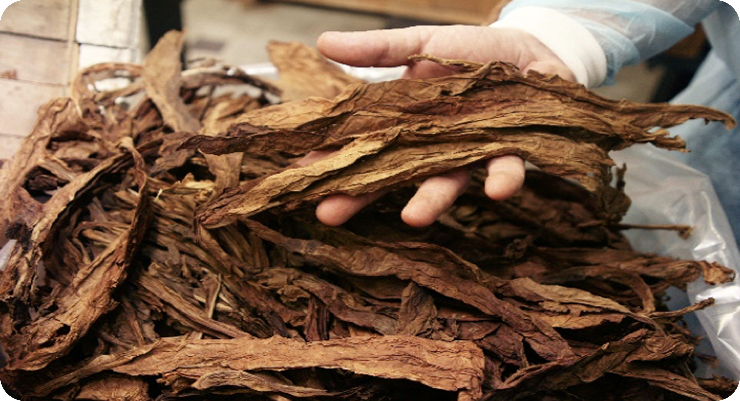 Ферментация