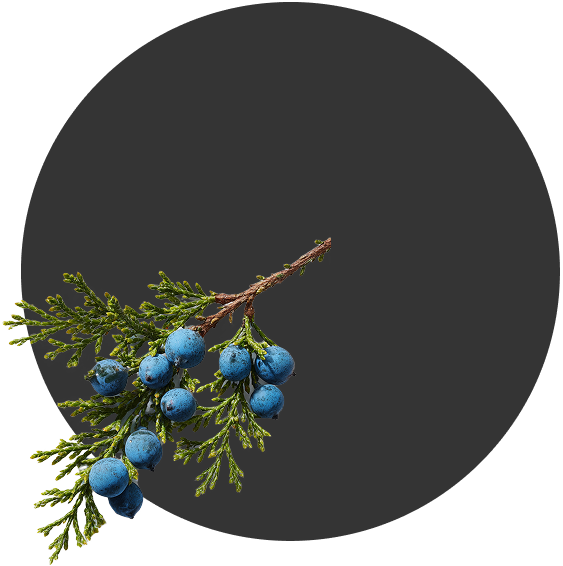 КЛАССИЧЕСКИЙ