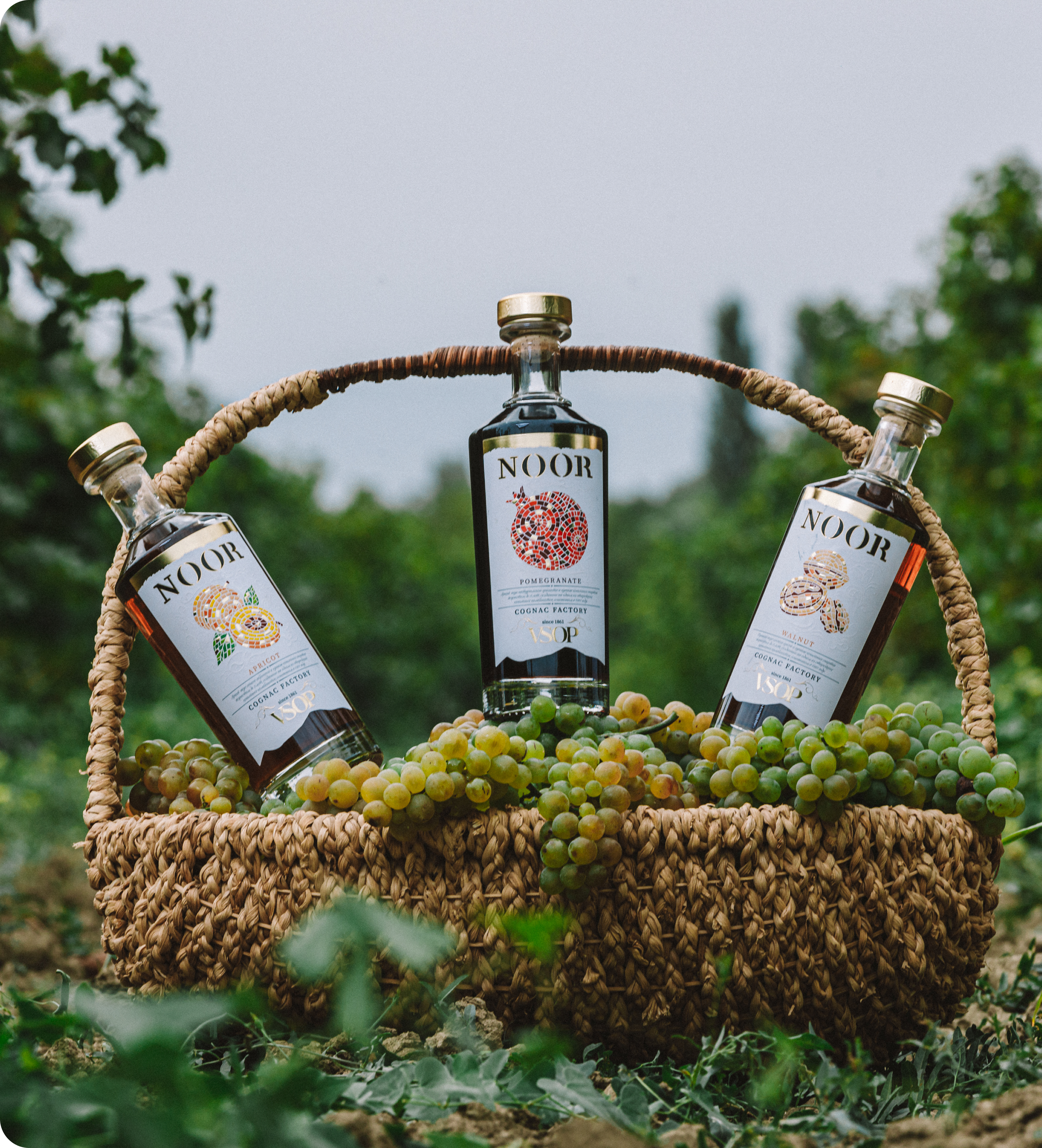 Особенности создания