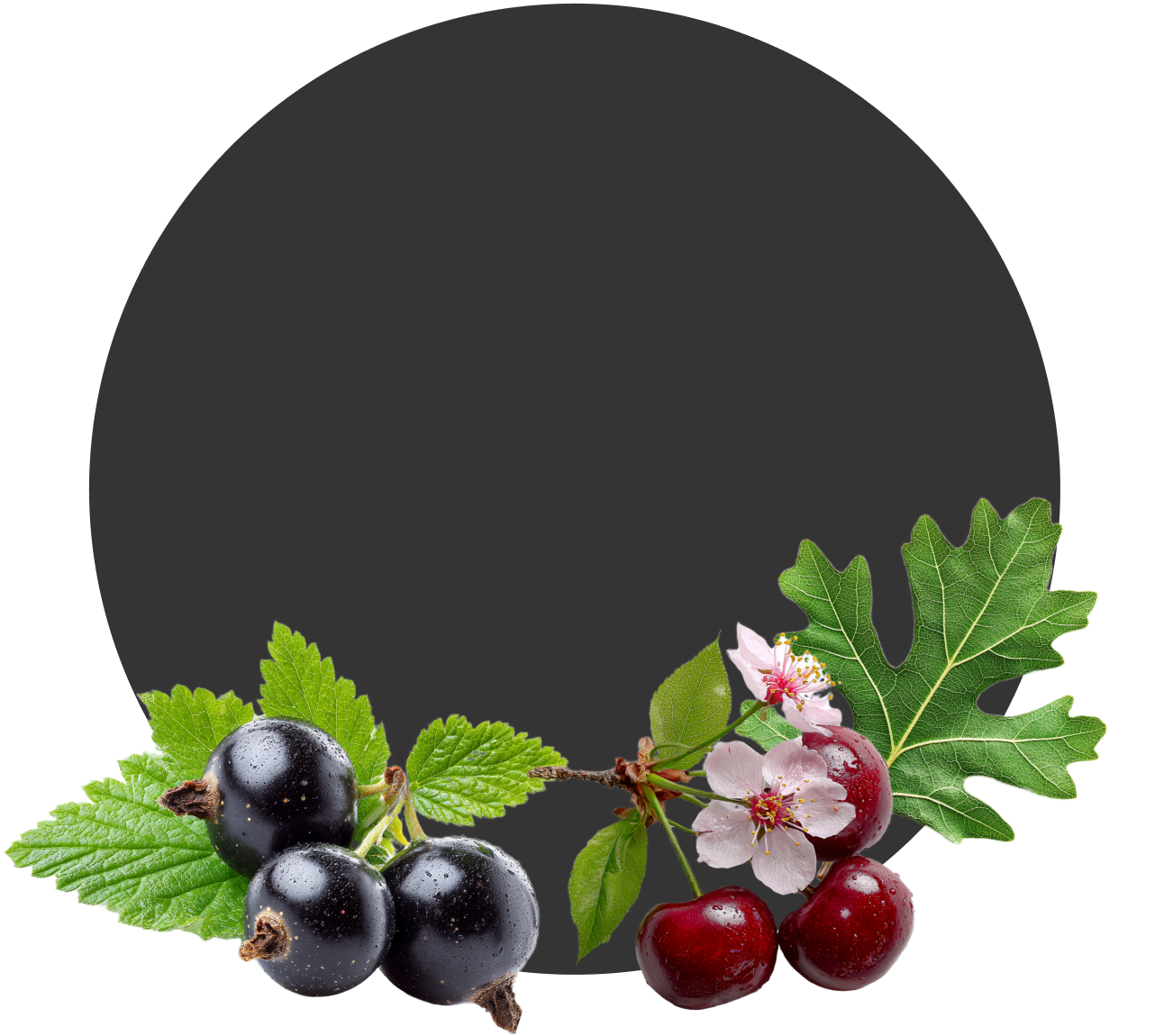 Каберне-Совиньон